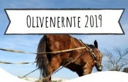 Ehrenamt Palästina klein