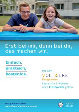 affiche voltaire D
