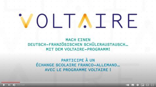 voltaire-7