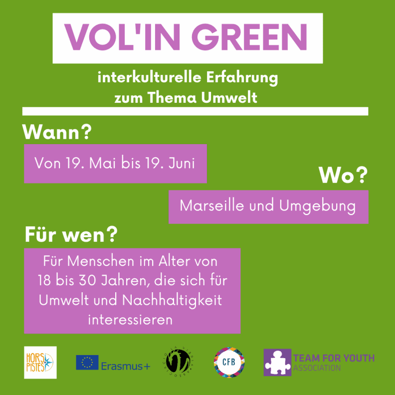 volin-green-instagram