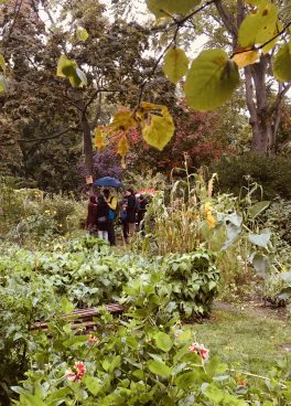 jardin-partage